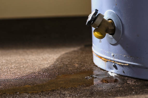 Best Flood damage cleanup  in Saranac, MI