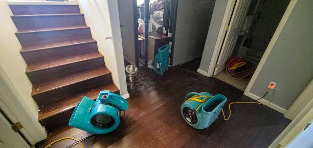 Best Sewage cleanup and water damage restoration  in Saranac, MI