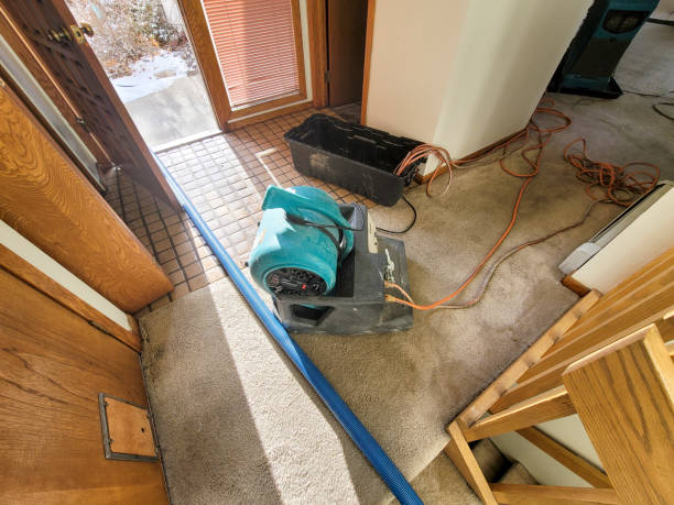 Best Local water damage restoration  in Saranac, MI