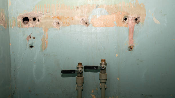  Saranac, MI Water damage restoration Pros