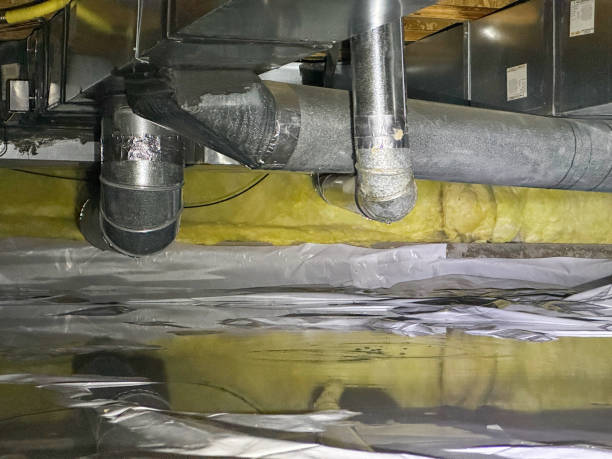 Best Basement water damage restoration  in Saranac, MI