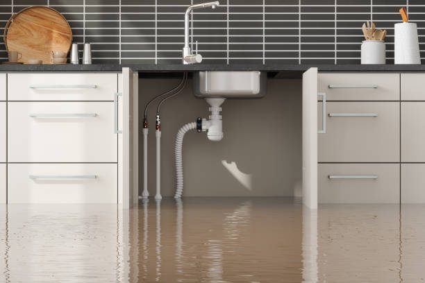 Best Water damage mitigation services  in Saranac, MI