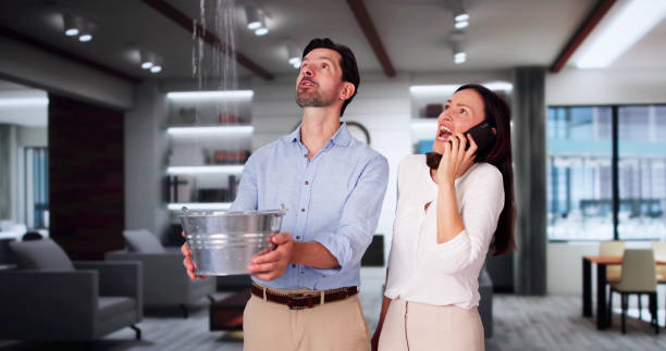 Best Water damage contractors near me  in Saranac, MI